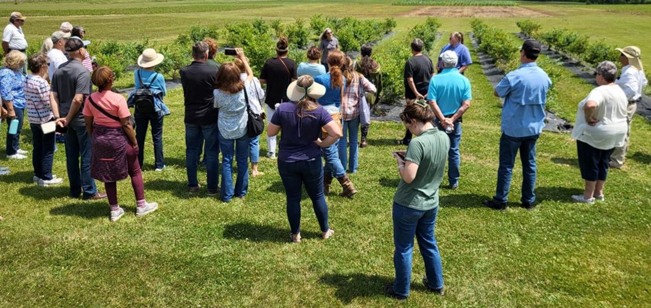 Participants at a Fruits of the Backyard Field Day Event