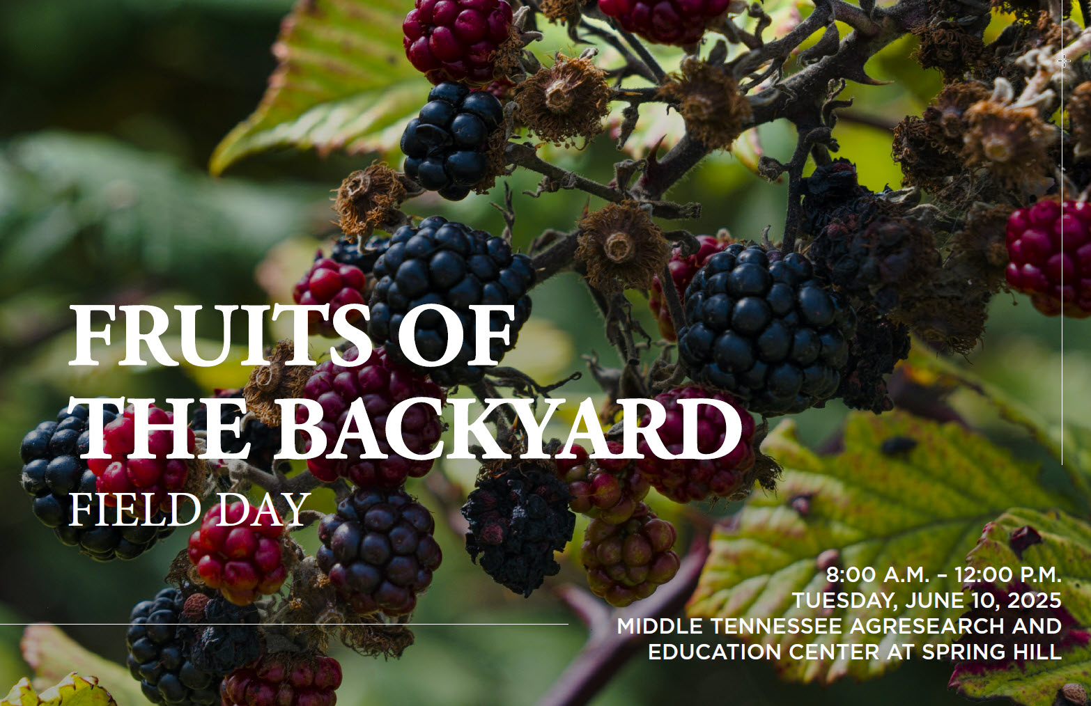 2025 Fruits of the Backyard Field Day - Cover Image