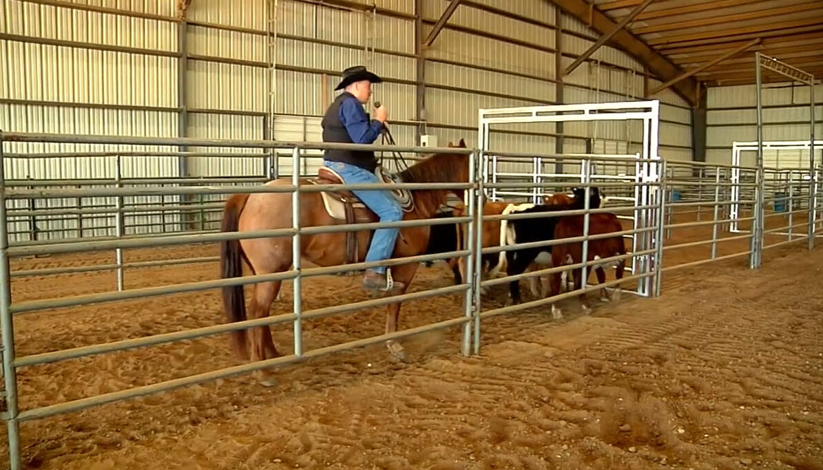Cover image from video on horseback handling stewardship